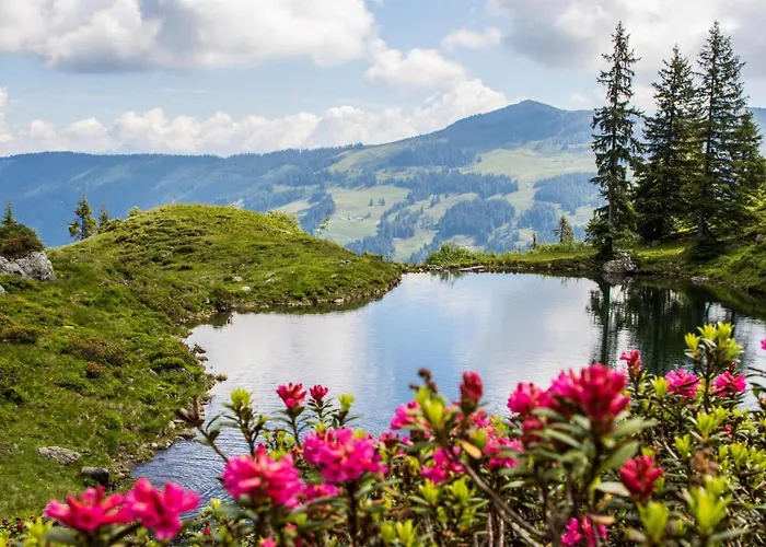 Appartementhaus Hubert *