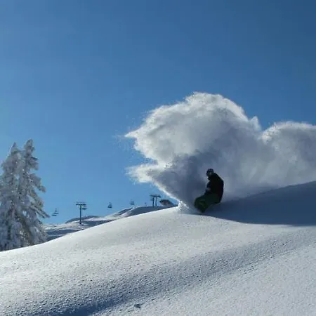 Appartementhaus Hubert Lejlighed Bernau (Kufstein)