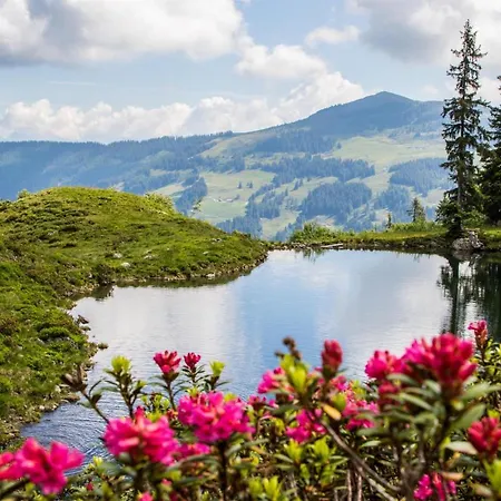 Appartementhaus Hubert *