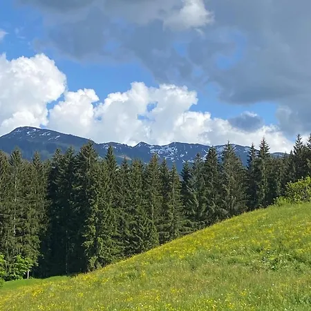 Appartementhaus Hubert * Bernau (Kufstein)